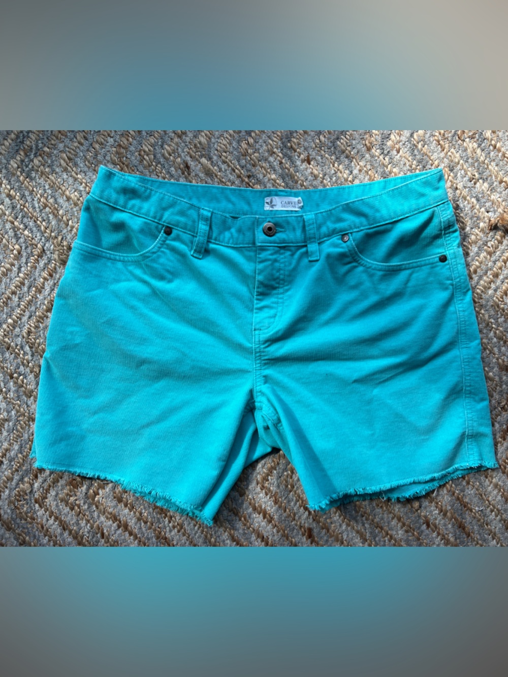 Carve Designs Teal Dogtown Shorts